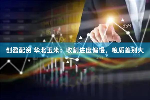 创盈配资 华北玉米：收割进度偏慢，粮质差别大