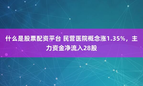 什么是股票配资平台 民营医院概念涨1.35%，主力资金净流入28股