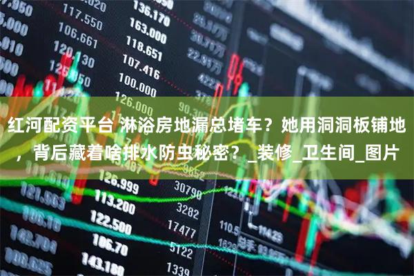 红河配资平台 淋浴房地漏总堵车？她用洞洞板铺地，背后藏着啥排水防虫秘密？_装修_卫生间_图片